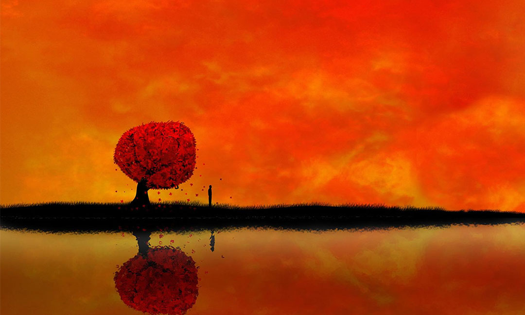 曲靖笙影微信朋友圈转发案例